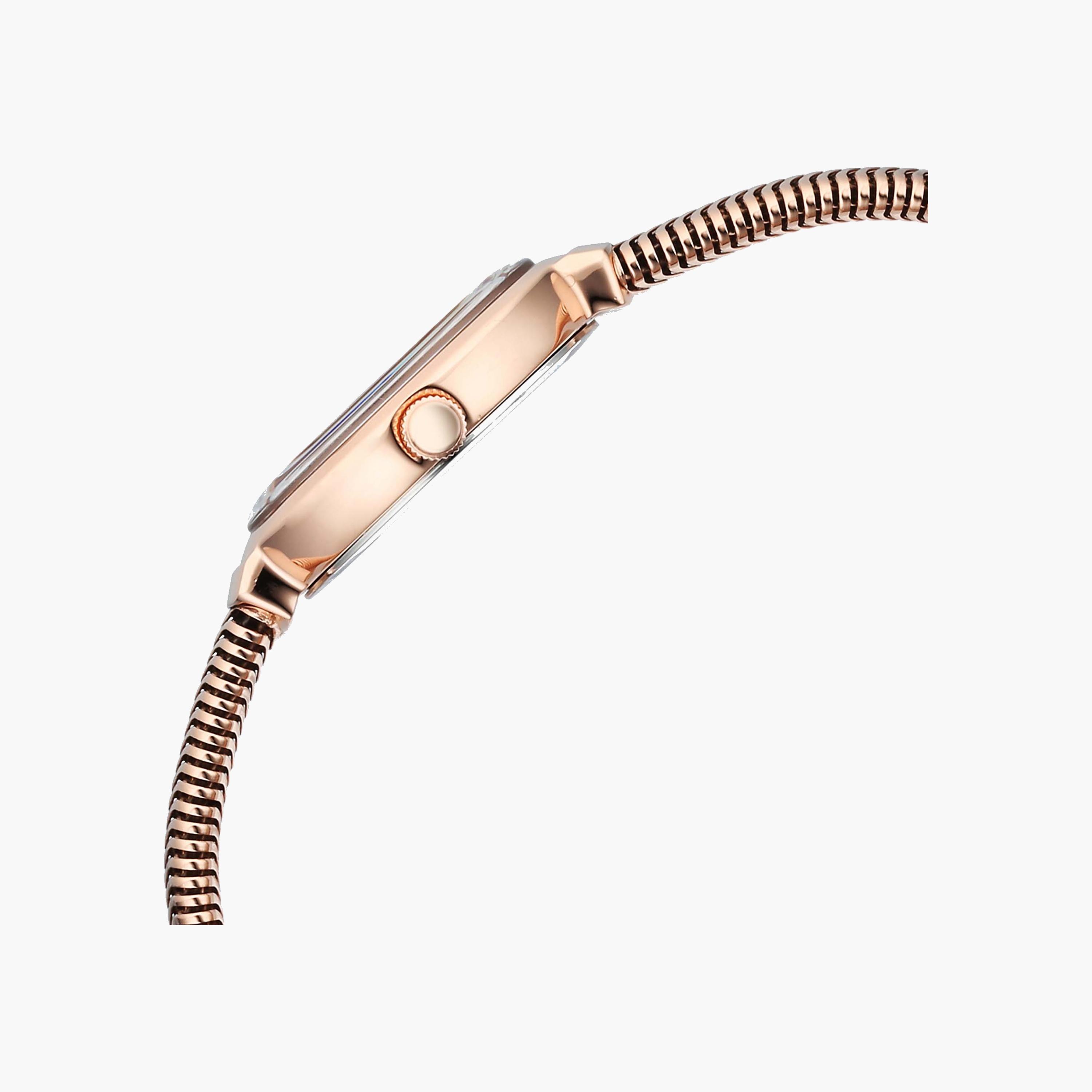 Titan Raga Women's Analogue Watch-women-watchesandjewellery-watches-image-2