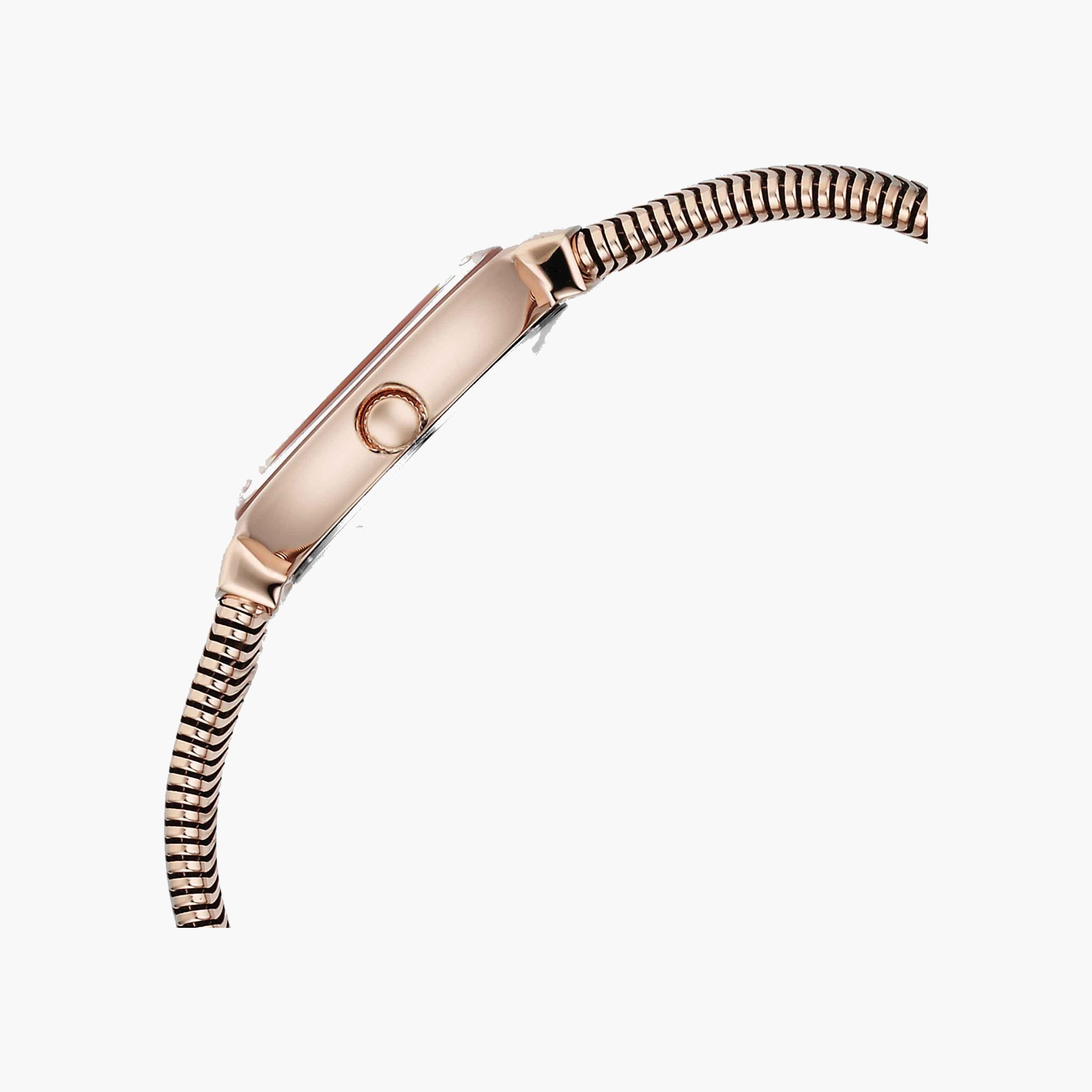 Titan Raga Women's Analogue Watch-women-watchesandjewellery-watches-image-5