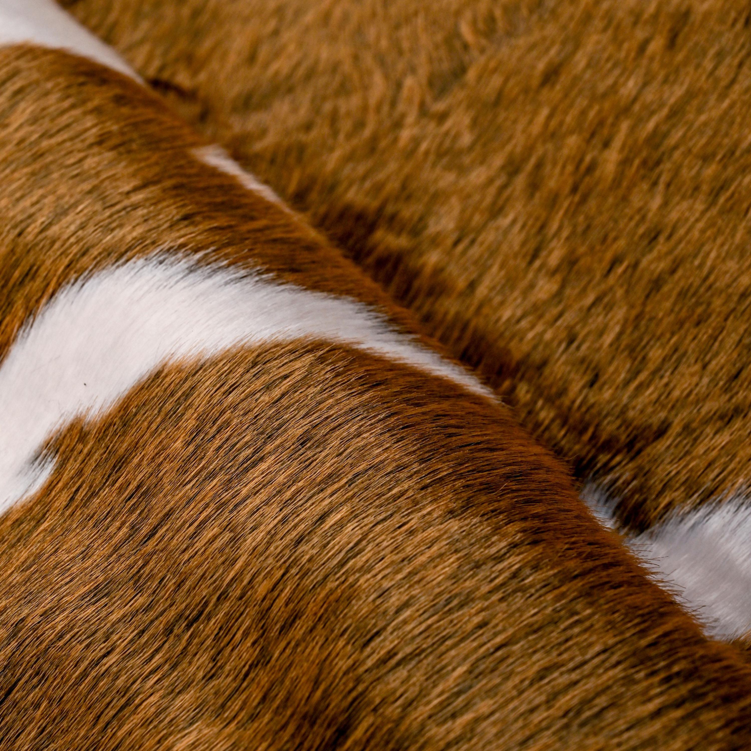Cow Hide V2 Shaped Rug - 230x150 cm-hbxdecorandfurnishings-floorcoverings-rugs-image-2