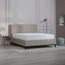 Askona Basic Gel Spring Queen Mattress - 160x200 cm-InfluencerCodes_Ramadan26_All_20012026-image-3