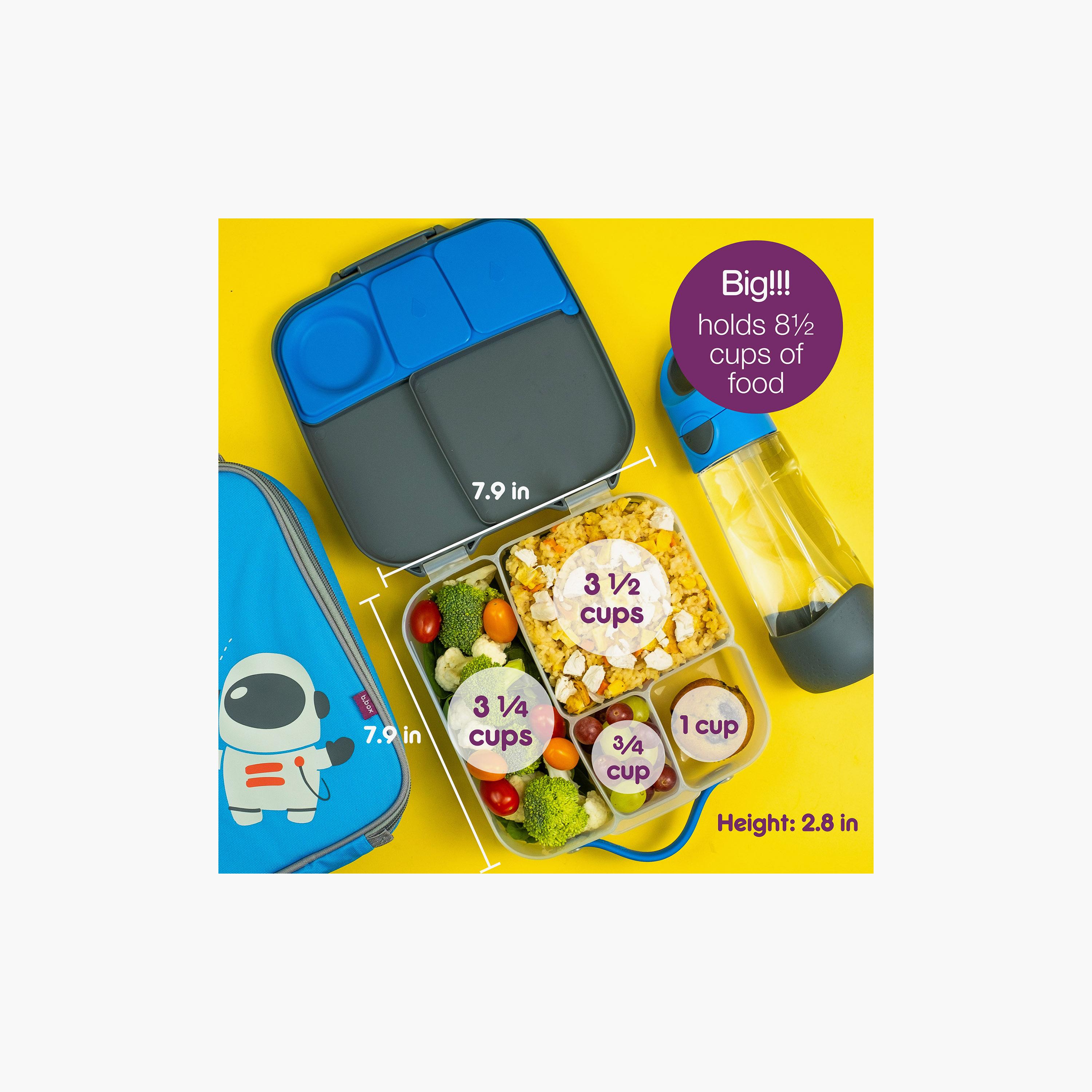 صندوق غداء خالٍ من مادة BPA من بي.بوكس-school-lunchessentials-lunchboxes-image-3