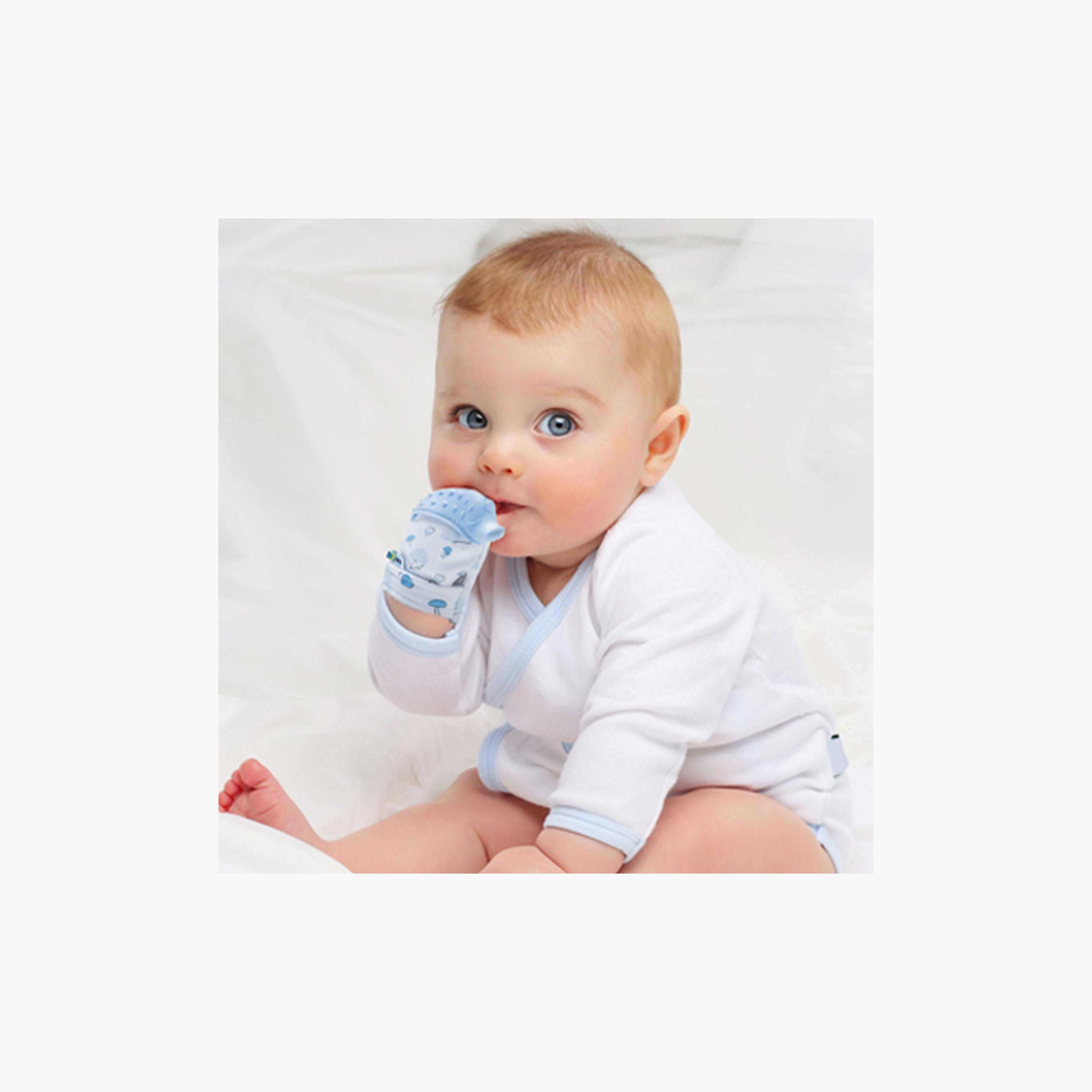 عضاضة قفاز بتصميم قنفذ من بيبي جيم-baby-feeding-teethers-image-3