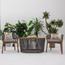 Hailey Dining Chair-InfluencerCodes_Ramadan26_All_20012026-image-6