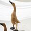 Duck Decorative Sculpture - Set of 3-InfluencerCodes_Ramadan26_All_20012026-image-2