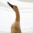 Duck Decorative Sculpture - Set of 3-InfluencerCodes_Ramadan26_All_20012026-image-5