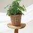 Cactus Decorative Planter with Stand - 95 cm-InfluencerCodes_Ramadan26_All_20012026-image-2