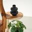 Cactus Decorative Planter with Stand - 95 cm-InfluencerCodes_Ramadan26_All_20012026-image-3