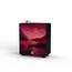 جهاز زيوت عطرية إكو من بريز أوف جوي - دكتور سنت - 170 مل-InfluencerCodes_Ramadan26_All_20012026-image-4