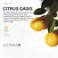 زيت عطري لموزّع العطور سيترس أواسيس - دكتور سينت - 170 مل-InfluencerCodes_Ramadan26_All_20012026-image-6