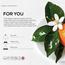 زيت عطري فور يو من بريز أوف جوي - دكتور سنت - 170 مل-InfluencerCodes_Ramadan26_All_20012026-image-5