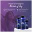 زيت عطري منعش للشاي الأخضر والهدوء-InfluencerCodes_Ramadan26_All_20012026-image-2