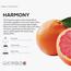 زيت عطر لموزّع العطور بريز أوف جوي هارموني - دكتور سينت - 170 مل-InfluencerCodes_Ramadan26_All_20012026-image-7