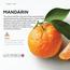 زيت عطري لموزّع العطور بريز أوف جوي ماندرين - دكتور سينت - 500 مل-InfluencerCodes_Ramadan26_All_20012026-image-6