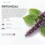 Dr Scent Breeze of Joy Patchouli Aroma Diffuser Oil - 500 ml-InfluencerCodes_Ramadan26_All_20012026-image-2