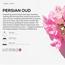 زيت عطري عود فارسي - بريز أوف جوي من دكتور سنت - 500 مل-InfluencerCodes_Ramadan26_All_20012026-image-4