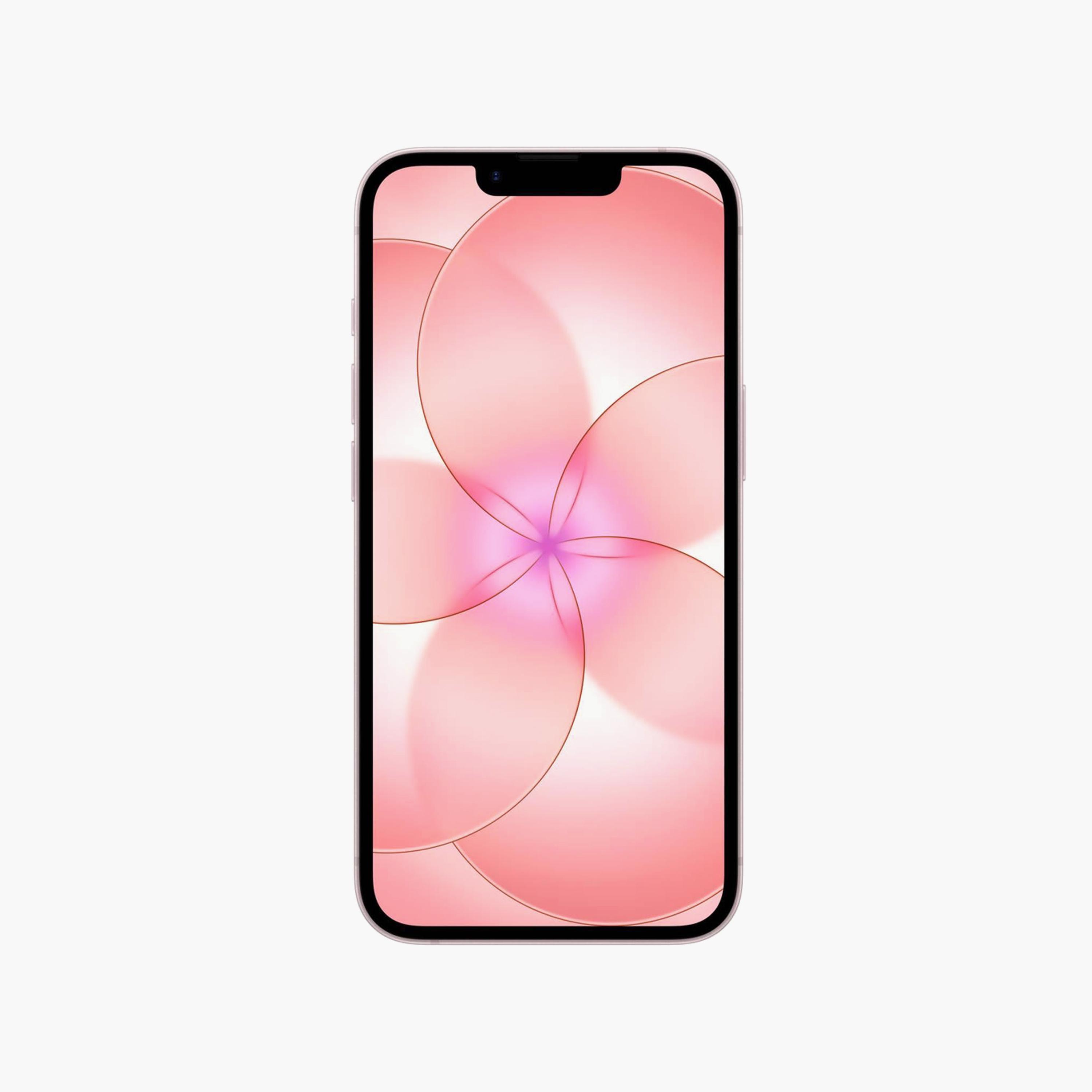 Apple iPhone 17e 5G 512GB-electronics-phones-image-2