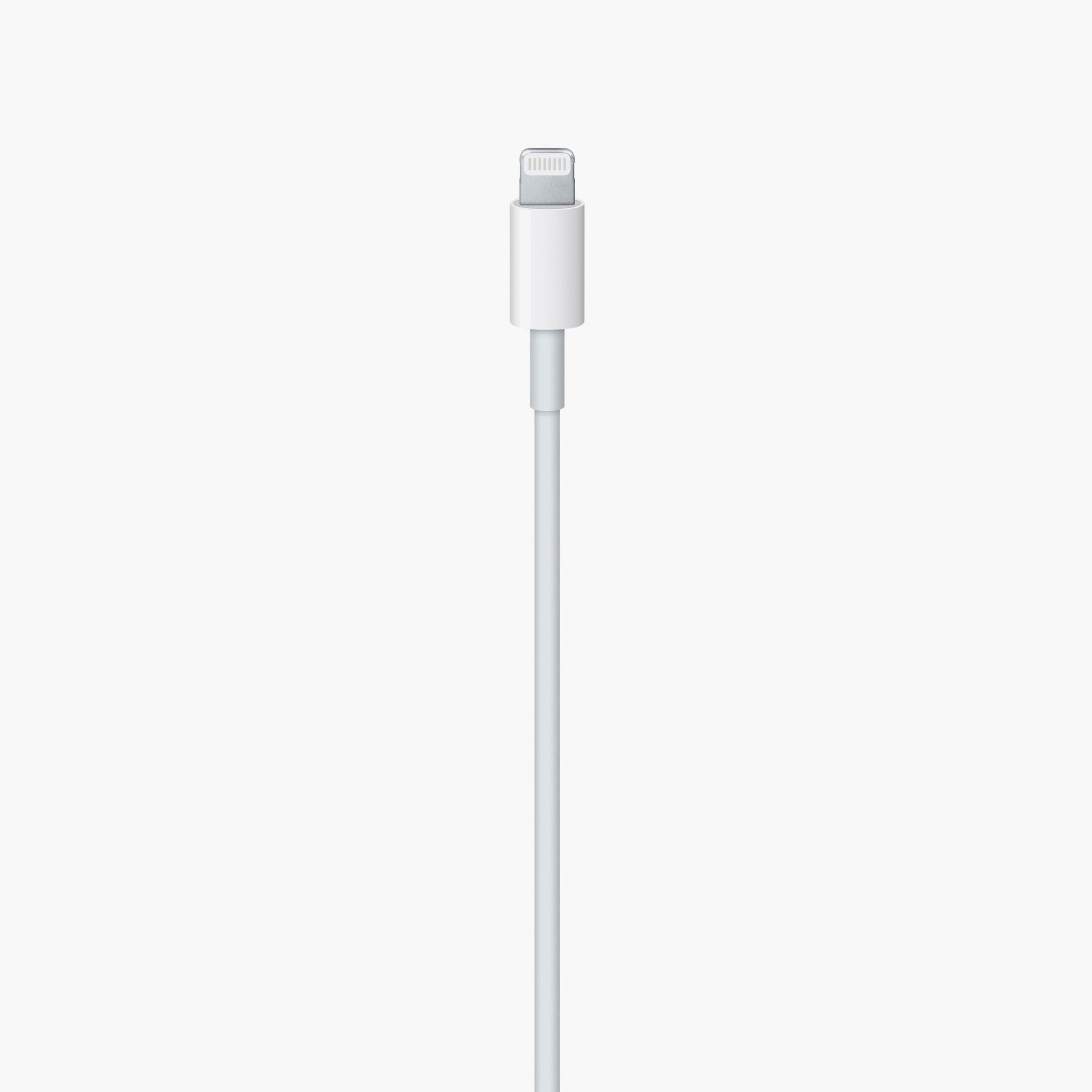 Apple USB-C to Lightning Cable (1M) ​​​​​​​|MUQ93ZM/A-electronics-accessories-mobileaccesories-image-2