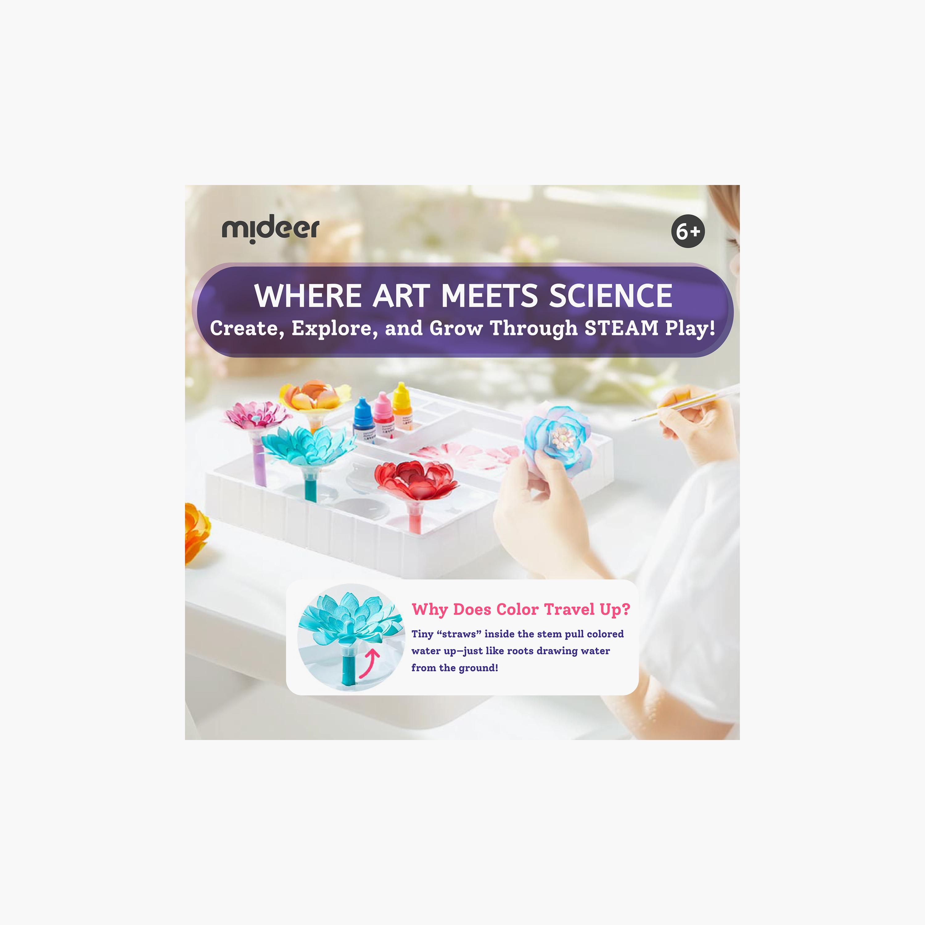 Mideer Magic Dyeing Florist DIY Kit-school-artsandcrafts-image-3