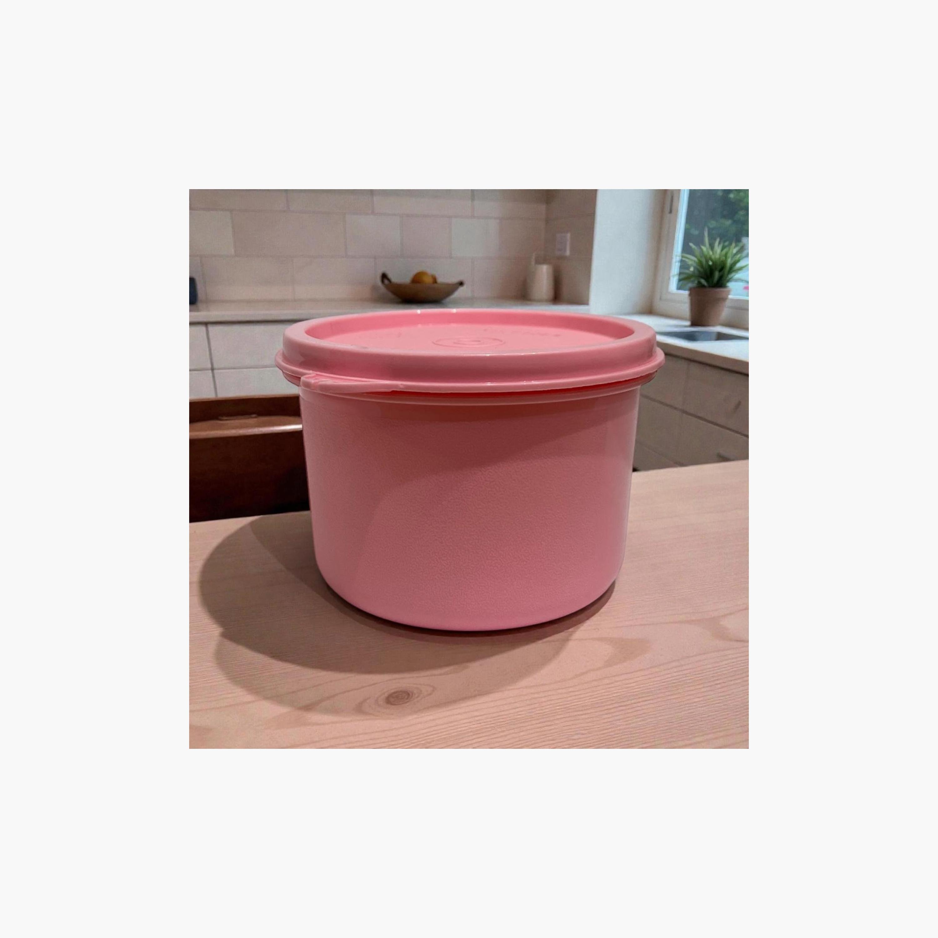 Astro Ruby Big Snack Box - 550 ml-school-lunchessentials-lunchboxes-image-3