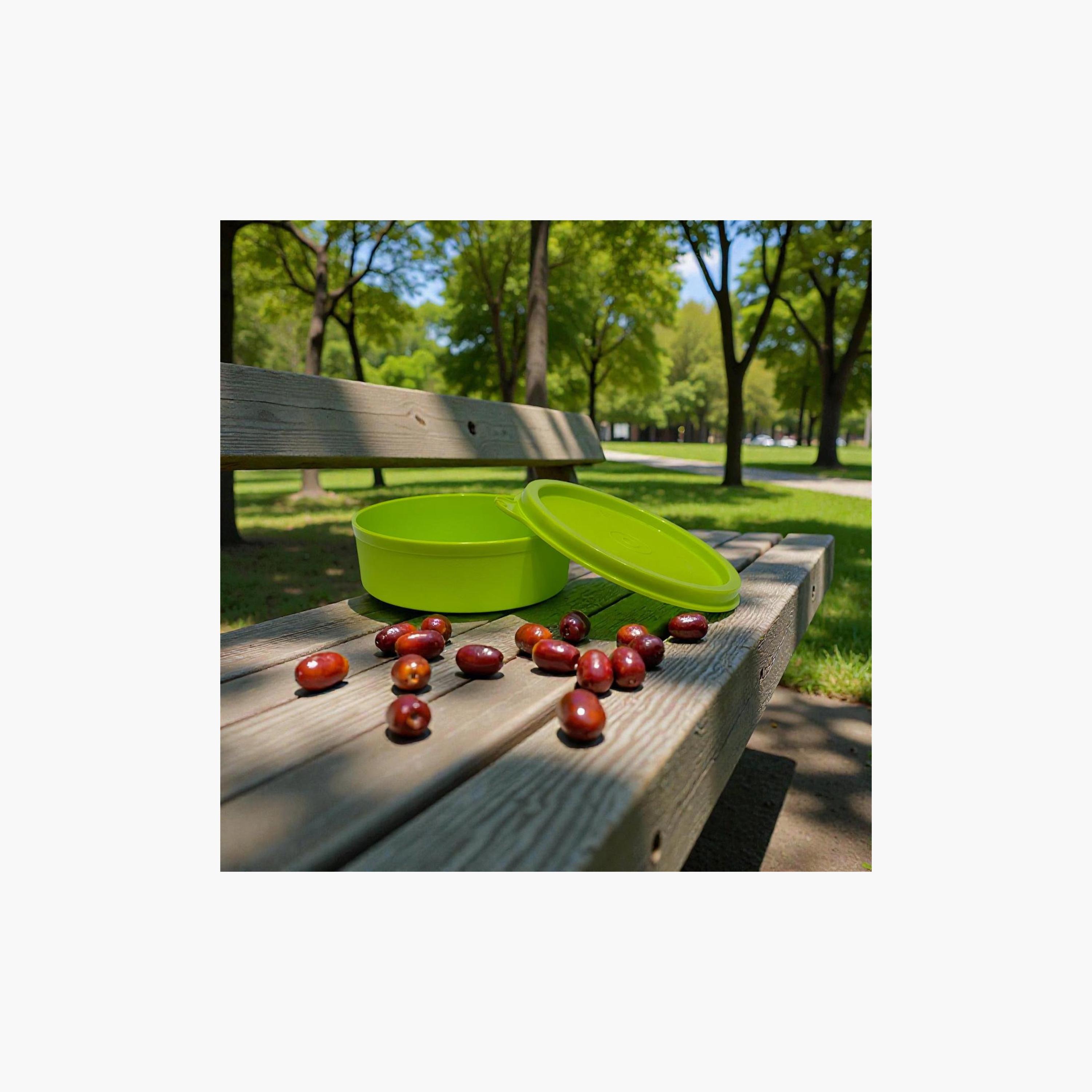 Astro Ruby Small Snack Box - 260 ml-school-lunchessentials-lunchboxes-image-4