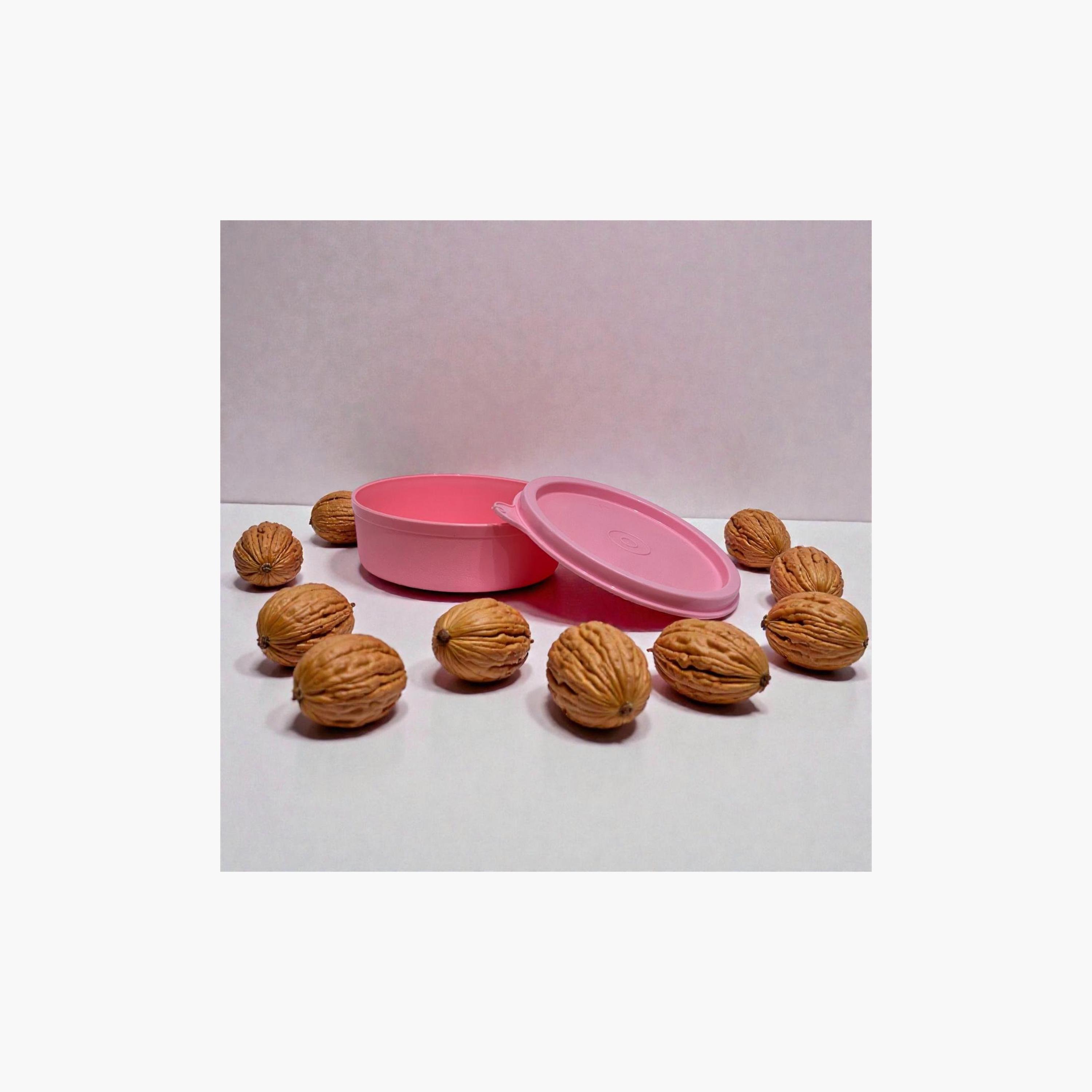 Astro Ruby Small Snack Box - 260 ml-school-lunchessentials-lunchboxes-image-3
