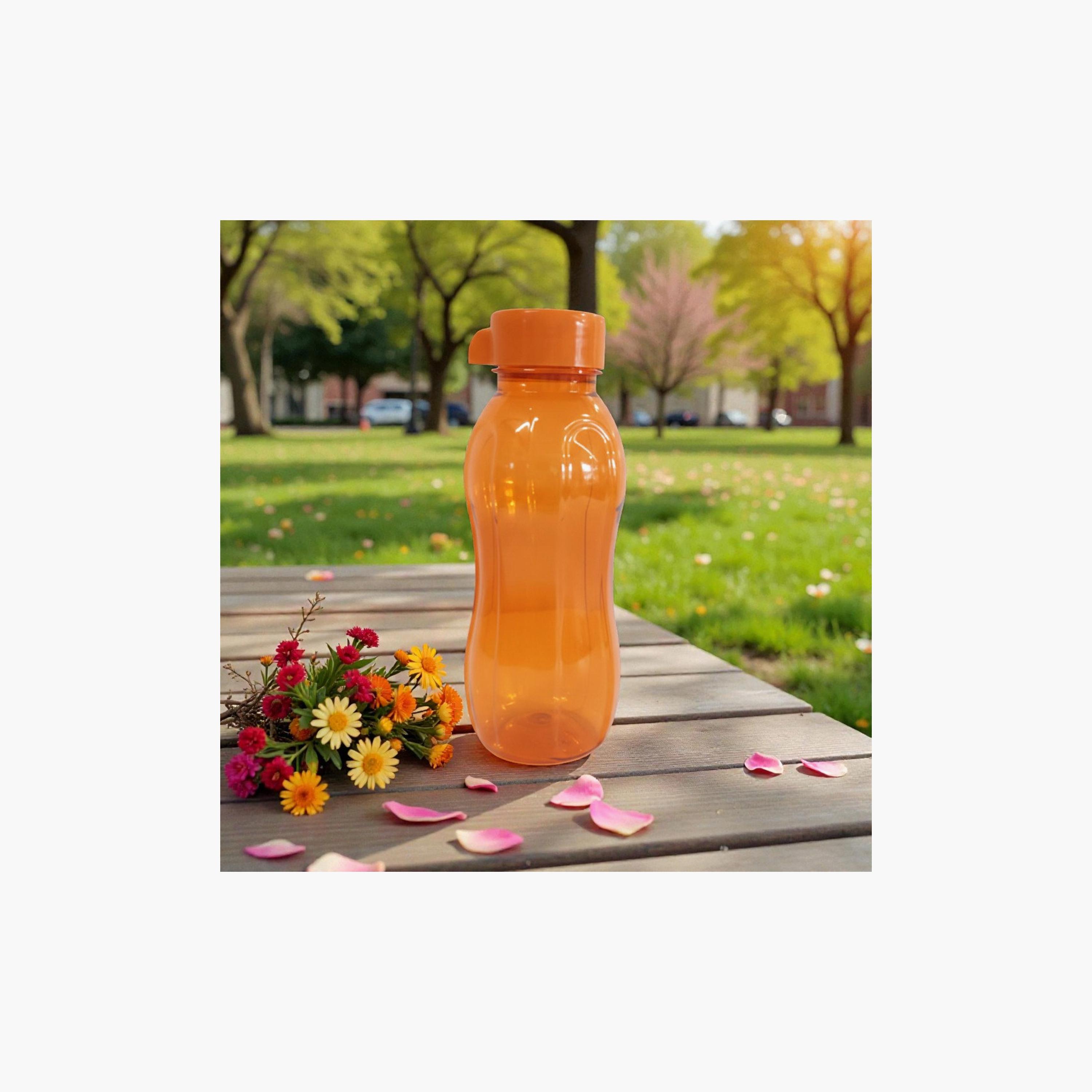 Astro Basic Bottles - 500 ml-school-waterbottles-image-2