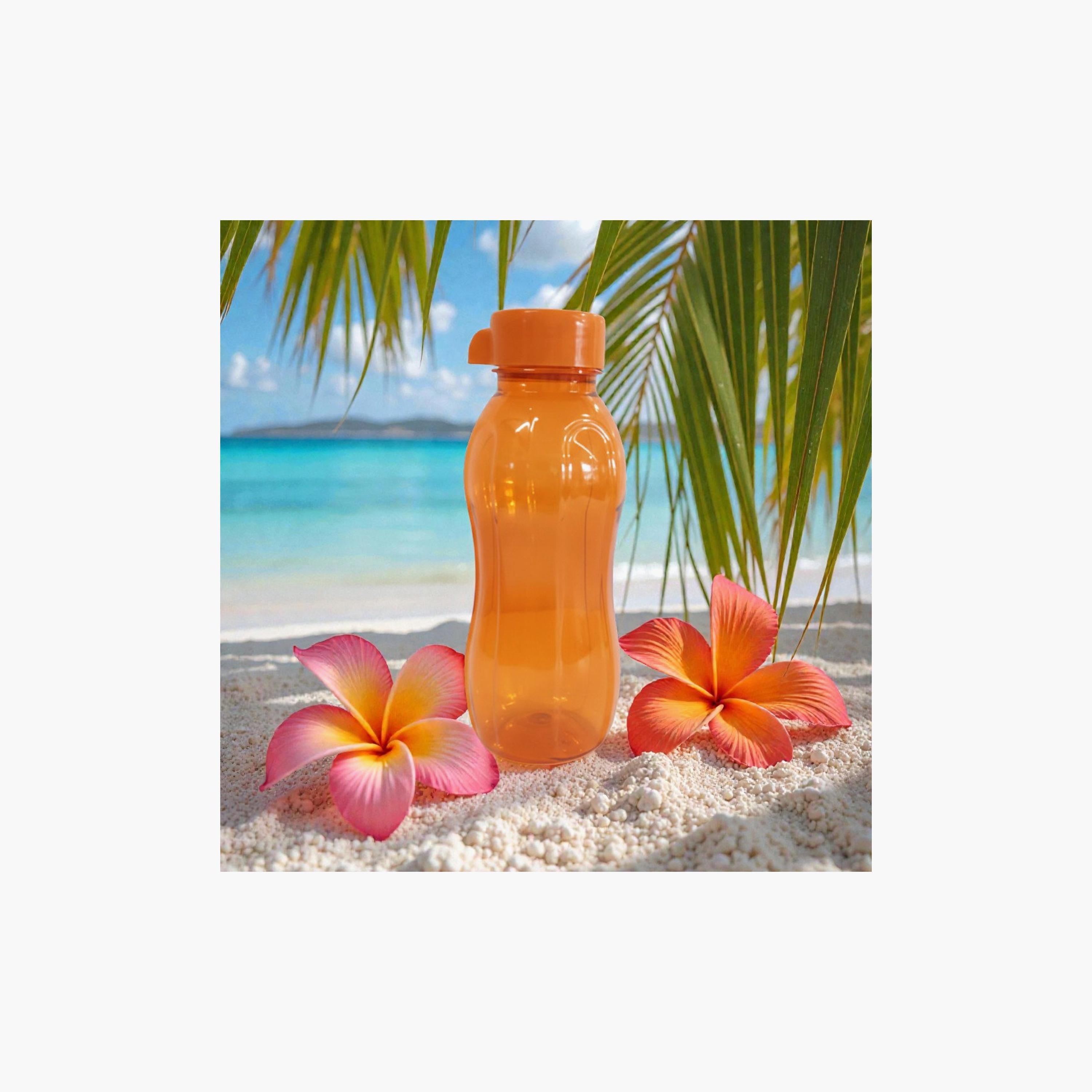 Astro Basic Bottles - 500 ml-school-waterbottles-image-3
