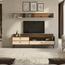 Stylish Home TV Unit with Shelf-furniture-livingroom-tvandmediaunits-image-1