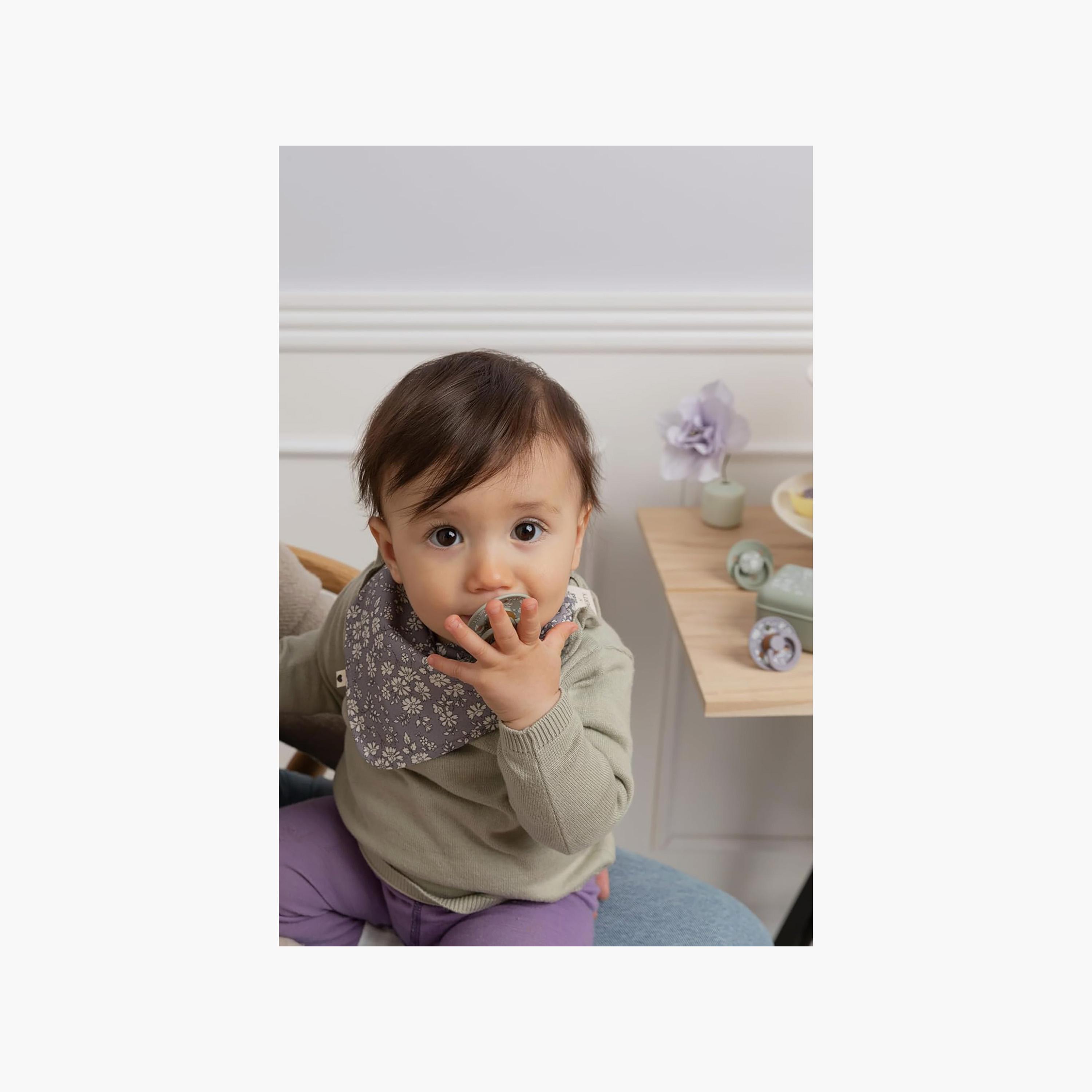 Bibs 2-Piece Liberty Colour Eloise Latex Pacifier Set - Size 2-baby-feeding-pacifiers-image-6