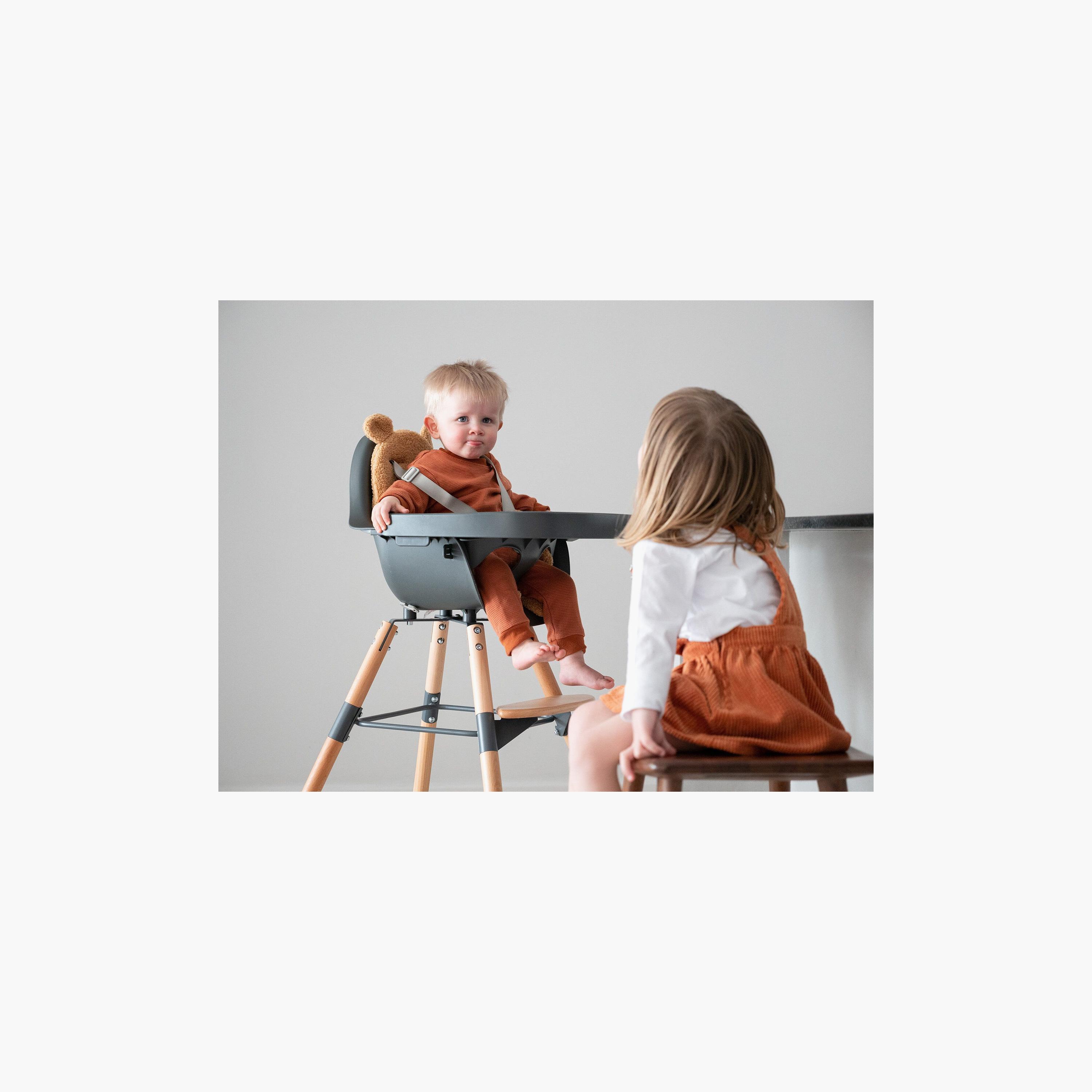 كرسي طعام للأطفال 2 في 1 (إيفولو) من تشايلد هوم-baby-feeding-highchairsandboosters-image-3