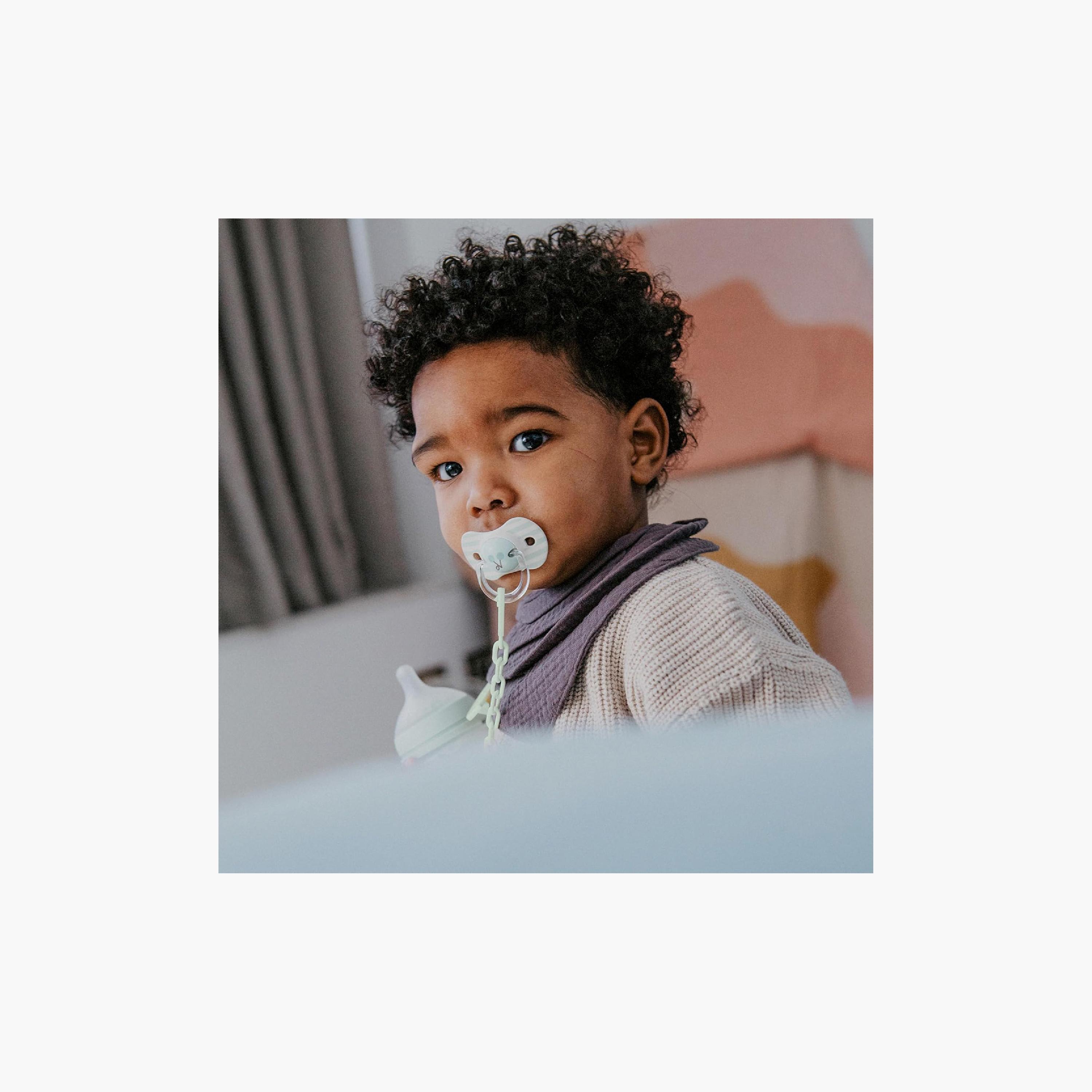 طقم لهايات سيليكون بيرديز مع علبة (قطعتان) - 18 شهراً فأكثر من سوافينكس-baby-feeding-pacifiers-image-4