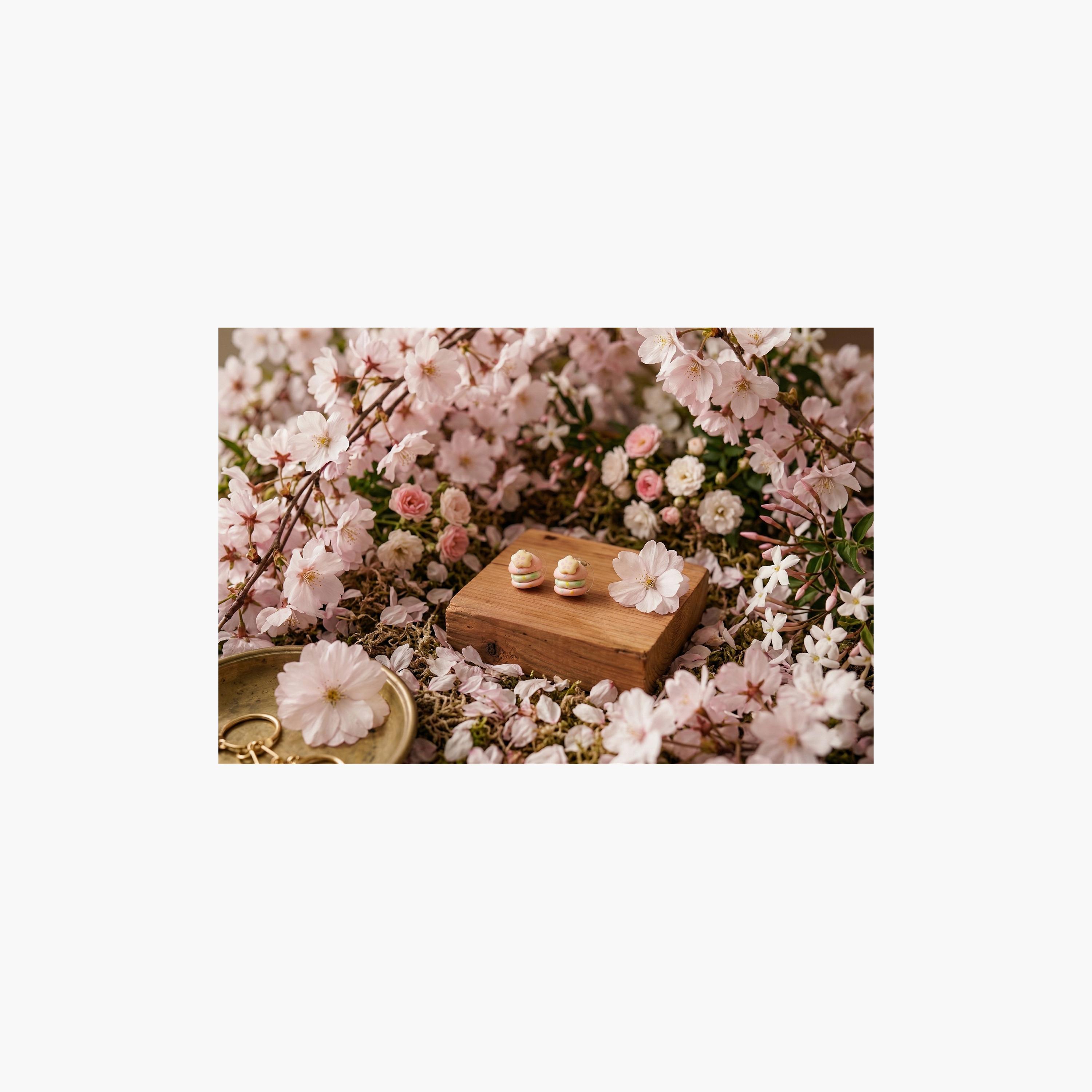 زوج أقراط (حلقان) "الملاك الصغير" من ليتل لاكشريز-girls-accessories-jewellery-image-2