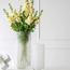 Zaha 2-Piece Glass Vase Set-promo_HC_SA_discountpromo_20042020-image-1
