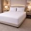 Mulberry Living Giza Cotton 350 Thread Count 3-Piece King Flat Sheet Set - 280x260 cm-promo_HC_AE_discountpromo_20042020-image-10