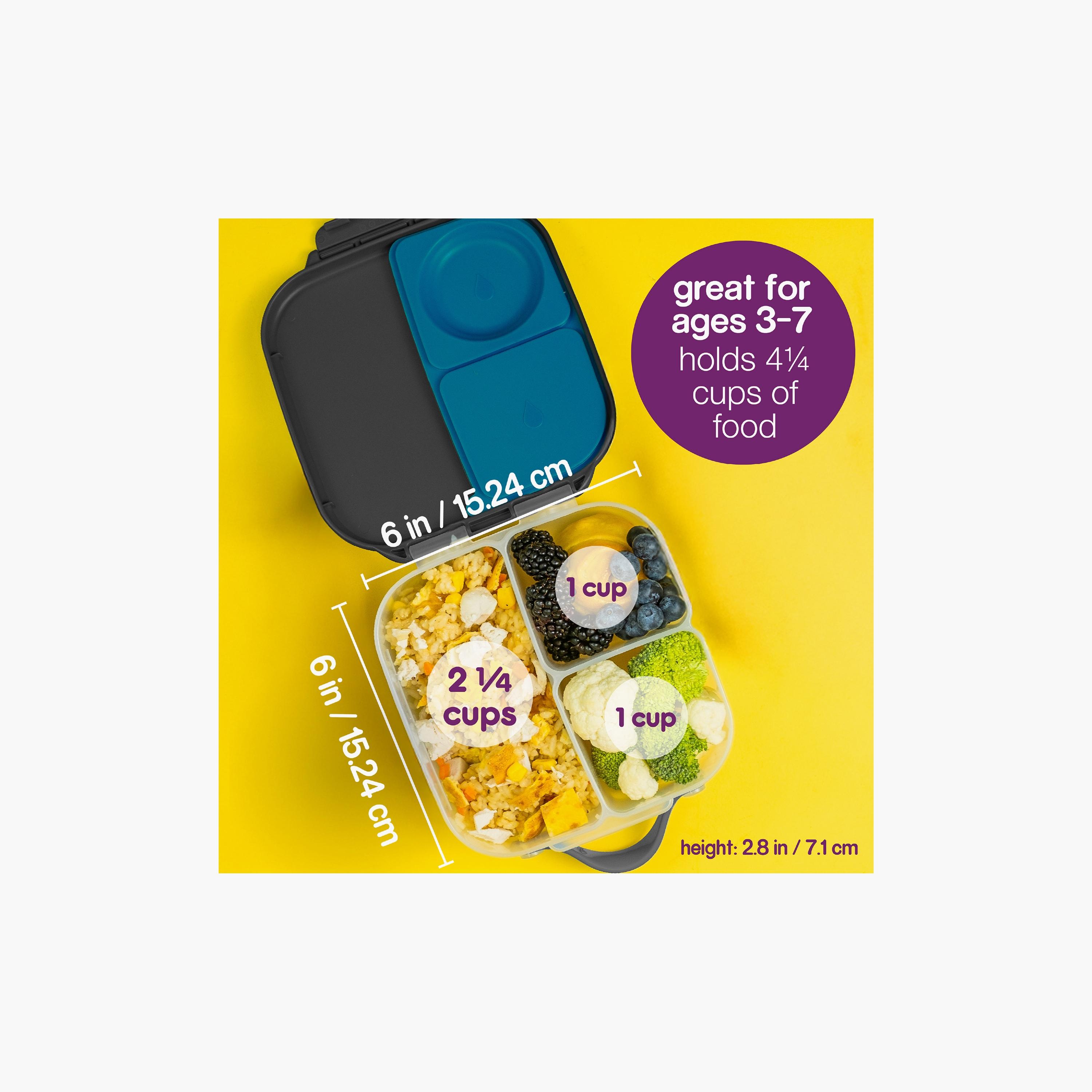 صندوق وجبات بينتو خالي من البيسفينول (BPA) مع فاصل قابل للإزالة من بي بوكس-school-lunchessentials-lunchboxes-image-50