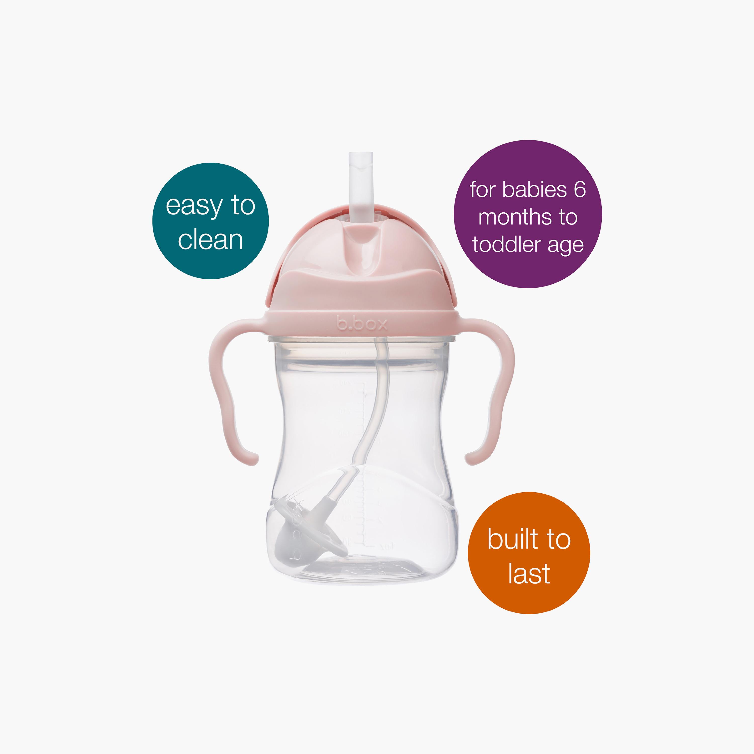 كوب تدريب للأطفال خالي من البيسفينول مع ماصة مرنة ومثقلة ومقابض من بي بوكس-baby-feeding-mealtimeessentials-image-2