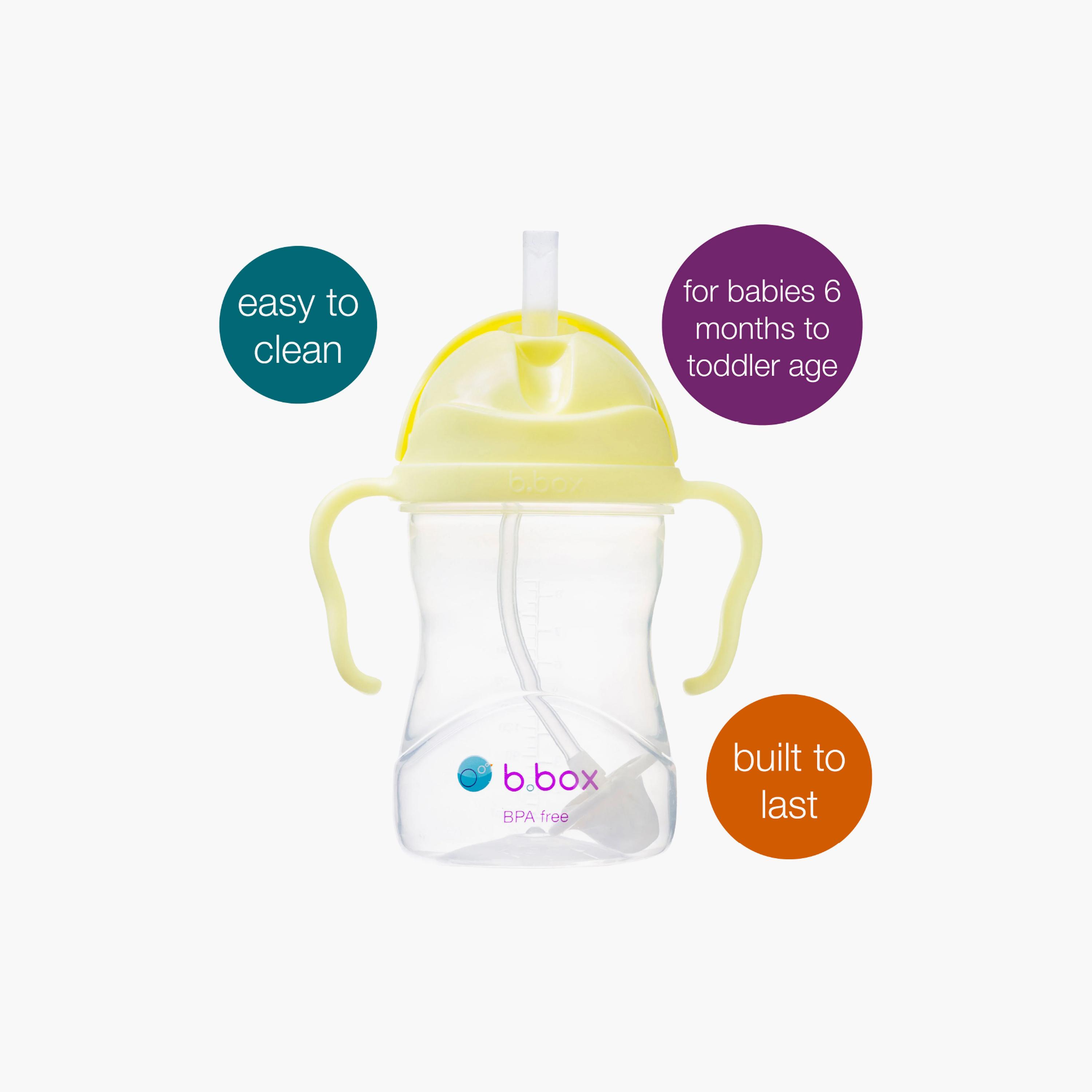 كوب تدريب للأطفال خالي من البيسفينول مع ماصة مرنة ومثقلة ومقابض من بي بوكس-baby-feeding-mealtimeessentials-image-26