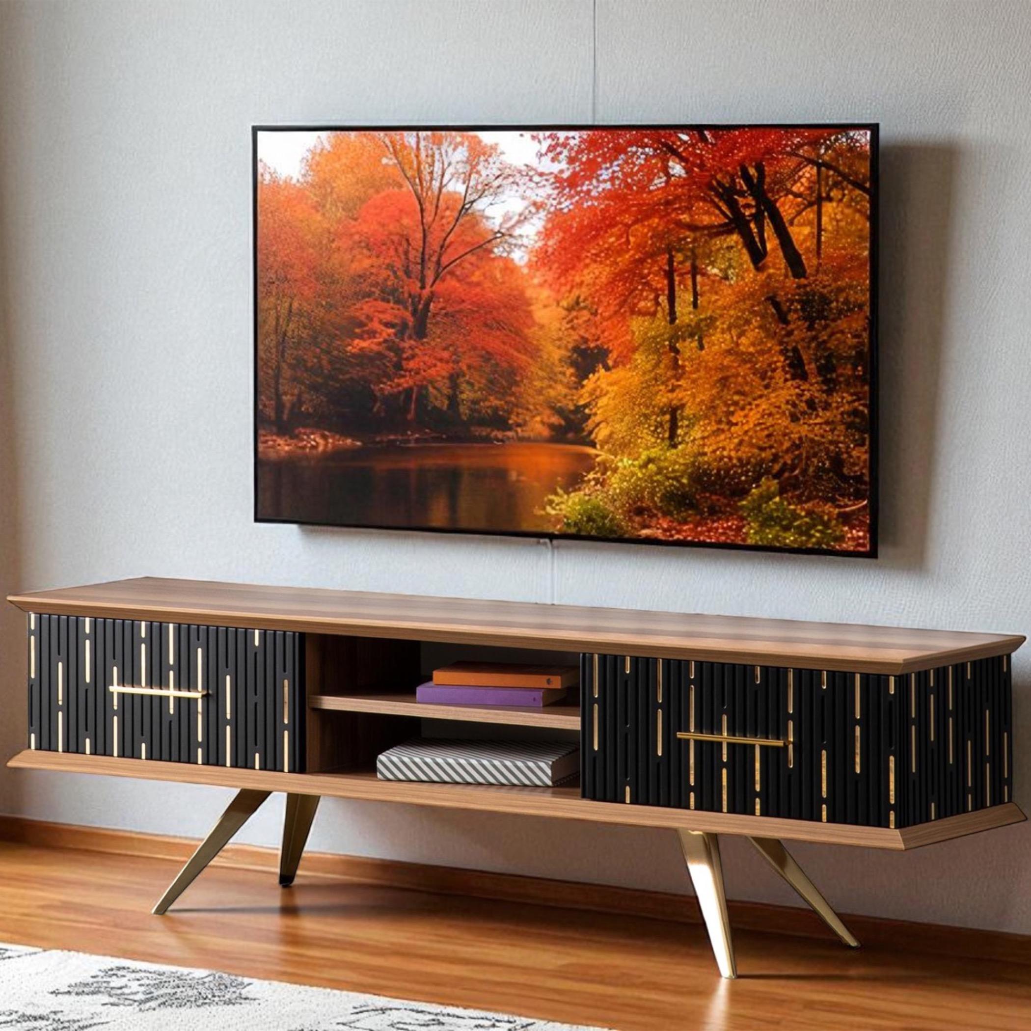 Monza TV Unit
