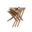 Juba Wooden Top Nesting Table - Set of 3-promo_HC_AE_discountpromo_20042020-image-2