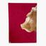 Aiida Design Roma Leather Handcrafted Rug - 150x200 cm-household-rugsandcarpets-rugs-image-4