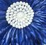 The 8 Senses Living Feather Juju Large Wall Decor with Shells - 55 cm-promo_HC_AE_discountpromo_20042020-image-3