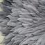 The 8 Senses Living Feather Juju Wall Decor with Seashells - 42 cm-promo_HC_AE_discountpromo_20042020-image-3