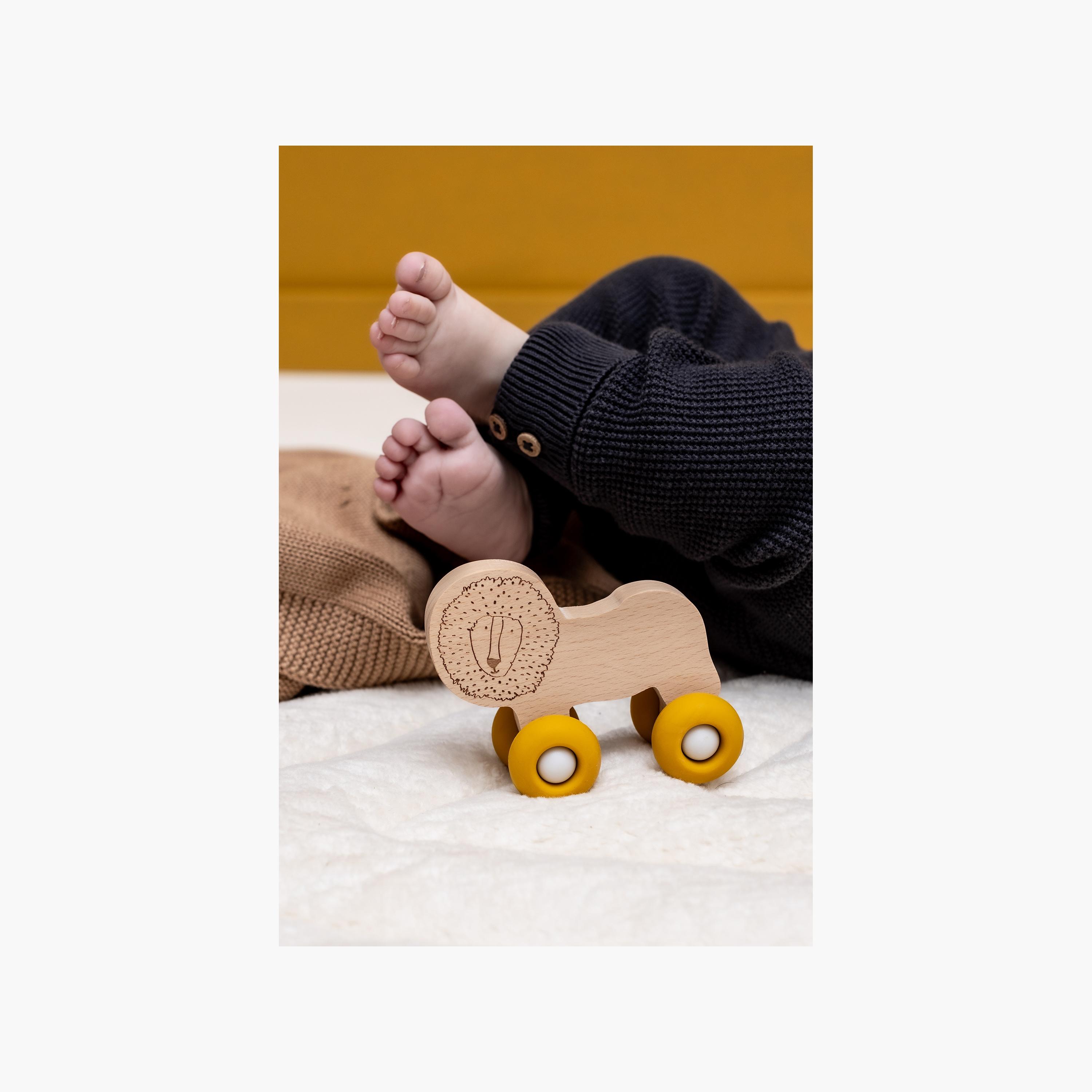 سيارة حيوانات خشبية مع عجلات سيليكون برسومات مستر لاين من تريكسي-toys-babyandtoddlertoys-learningtoys-image-3