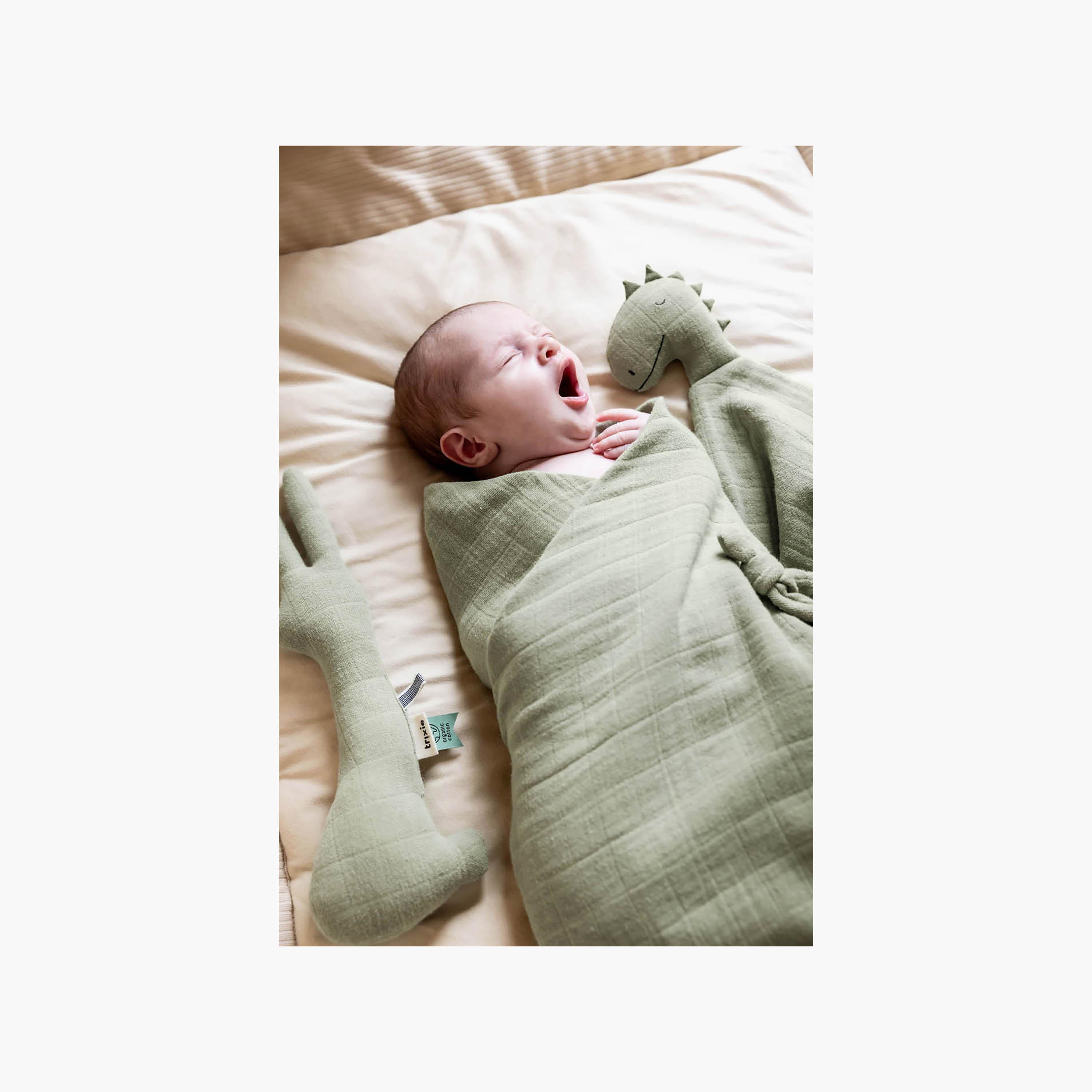 دمية بطانية تعزية ناعمة للرضع قطن عضوي برسومات مستر دينو من تريكسي-baby-nursery-babybedding-image-2