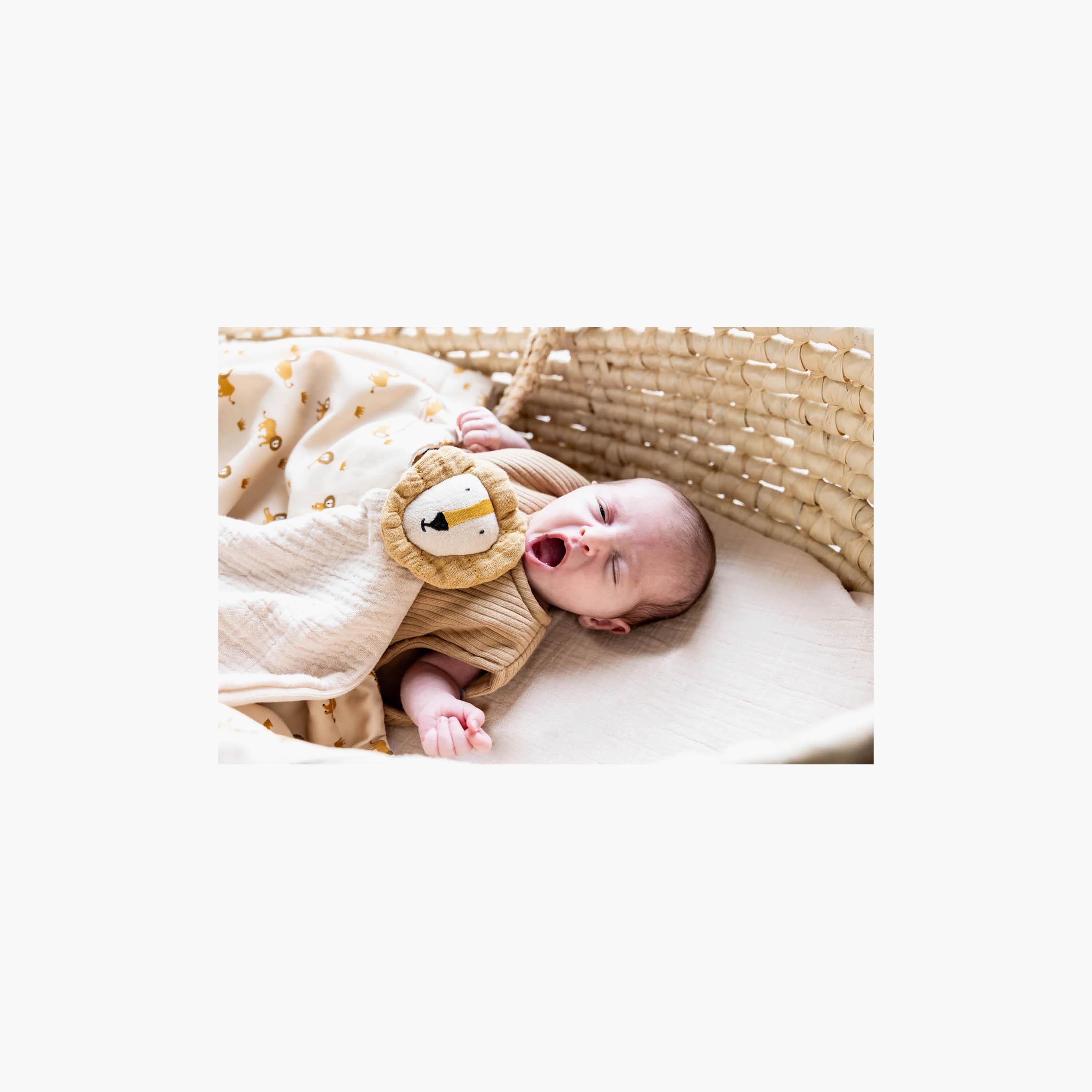 كيس نوم للأطفال قطن عضوي لطقس معتدل من تريكسي - 60 سم-baby-nursery-blanketsandswaddles-swaddlesandsleepingbags-image-3