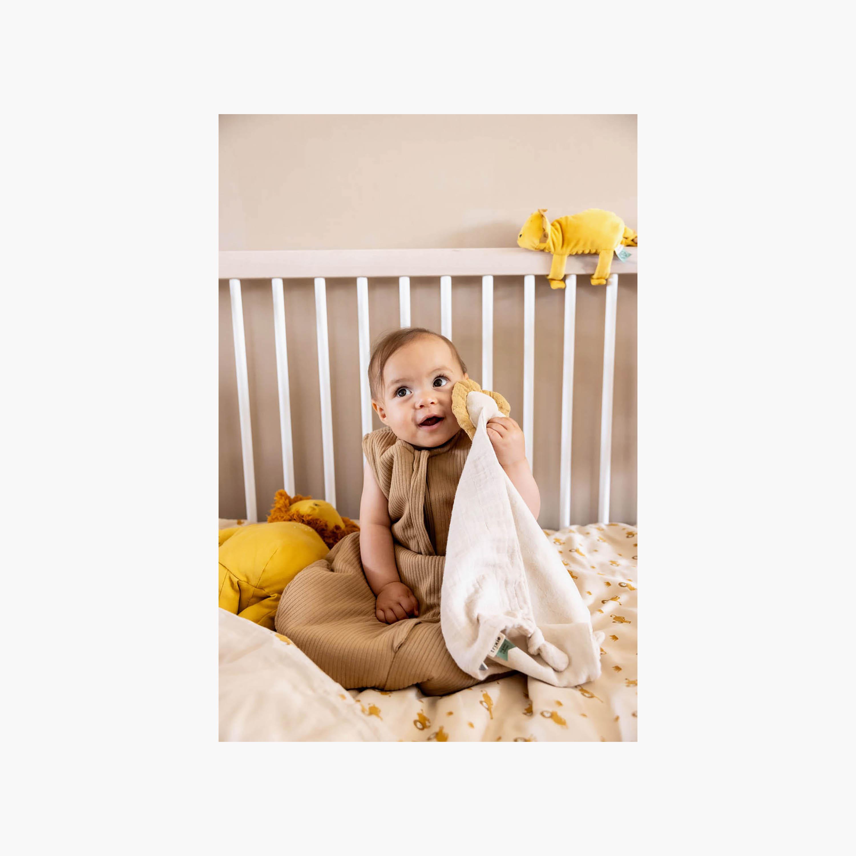 كيس نوم للأطفال قطن عضوي لطقس معتدل من تريكسي - 60 سم-baby-nursery-blanketsandswaddles-swaddlesandsleepingbags-image-4