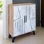 Baity 10-Pair Shoe Cabinet-furniture-livingroom-shoeracks-image-1