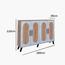 Baity 30-Pair Shoe Cabinet-furniture-livingroom-shoeracks-image-5