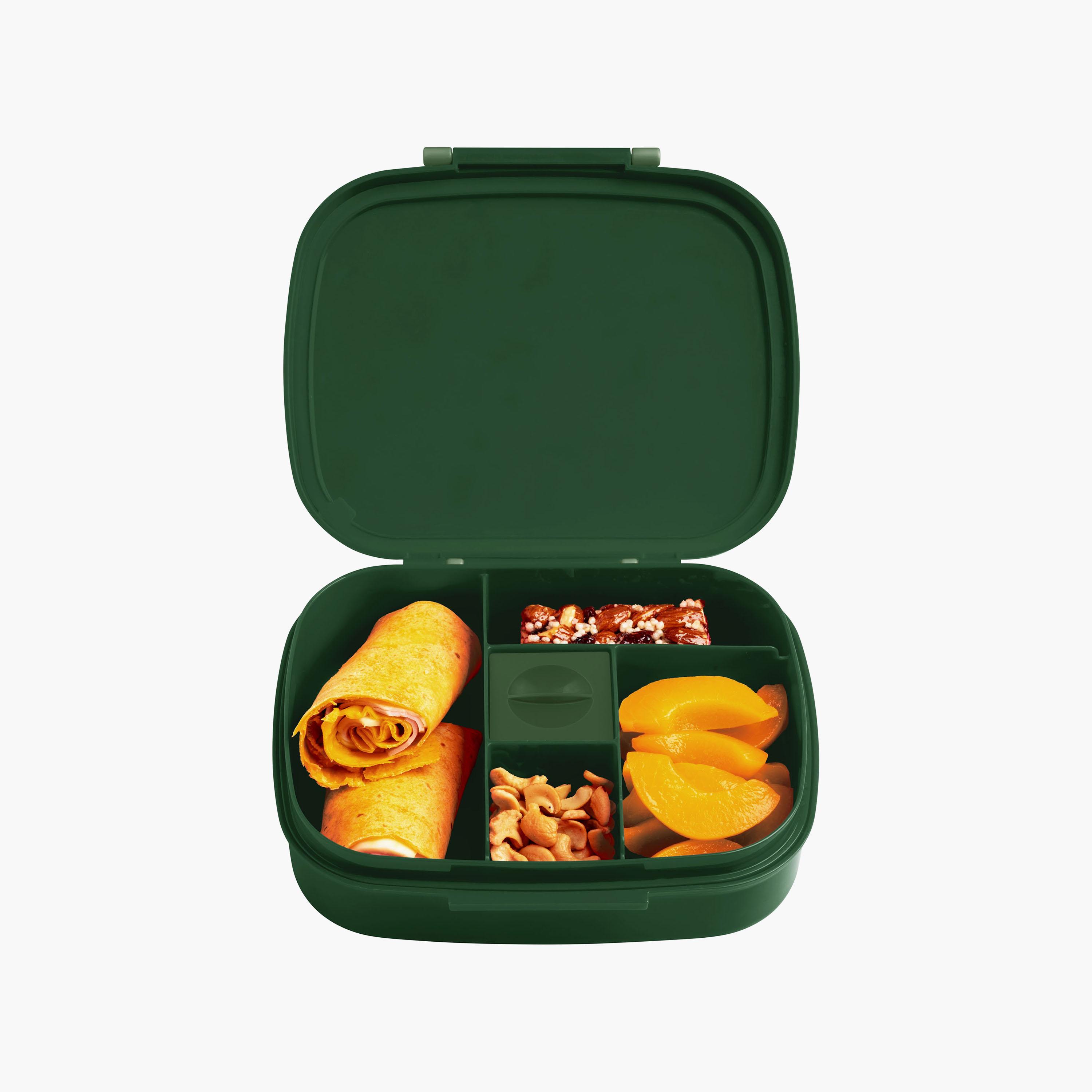 صندوق غداء بينتو بنقشة تنين للأولاد مع صينية قابلة للإزالة من ستيفن جوزيف-school-lunchessentials-lunchboxes-image-5