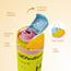 Eazy Kids Dinosaur 3-Piece Bento Lunch Box Set with Stainless Steel Water Bottle-kids-schoolessentials-lunchboxes-image-4